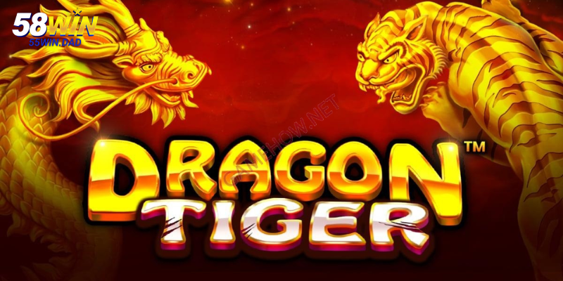 Cơ hội thắng cao và trải nghiệm thú vị