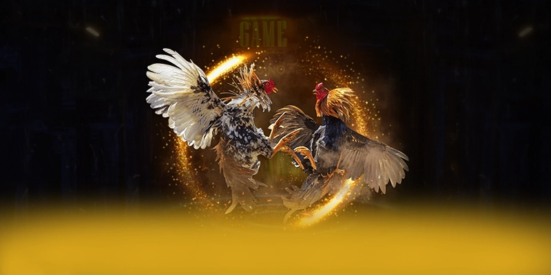 KUWIN - Khẳng định vị thế dưới góc nhìn chuyên môn. KUWIN - Khẳng định vị thế dưới góc nhìn chuyên môn.