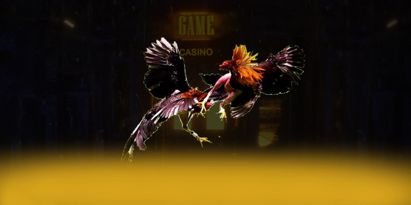 Khám phá ĐÁ GÀ TRỰC TIẾP - Sảnh game uy tín được quan tâm
Khám phá ĐÁ GÀ TRỰC TIẾP - Sảnh game uy tín được quan tâm