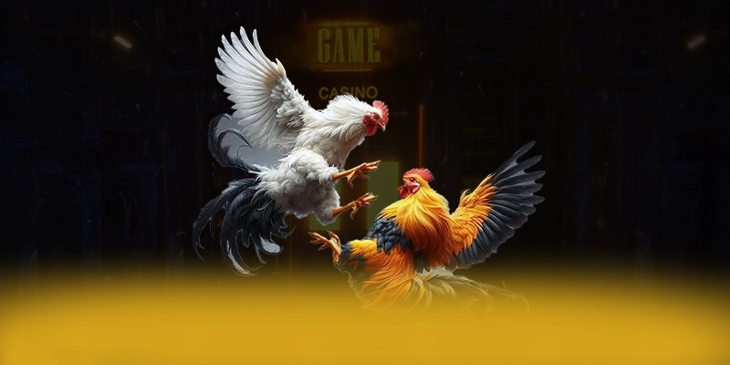 Giới thiệu DAGA88 - Sảnh game hàng đầu Việt Nam mới nhất hiện nay
Giới thiệu DAGA88 - Sảnh game hàng đầu Việt Nam mới nhất hiện nay