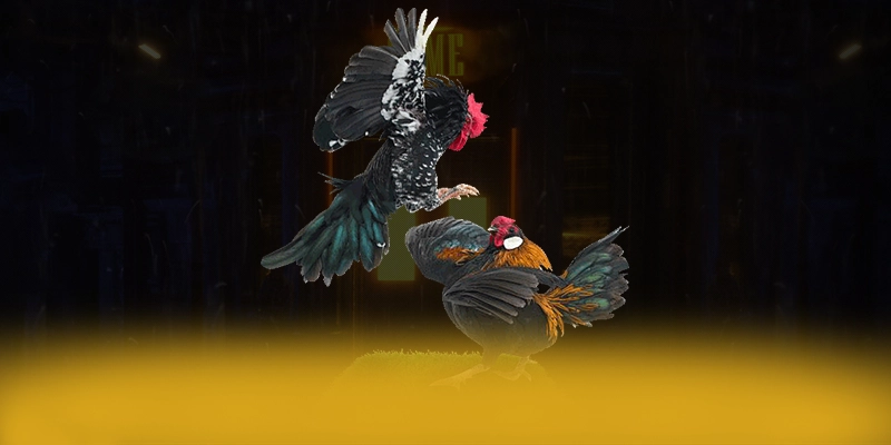 
Cập nhật thông tin về DAGA88 - Cổng cá cược phổ biến nhất số 1 Việt Nam
