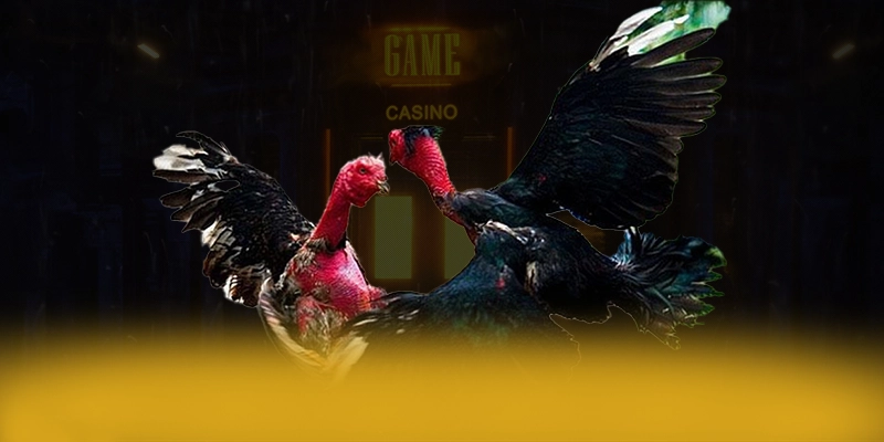 DAGA88 - Sảnh game với phần thưởng siêu lớn trên thị trường – Trải nghiệm DAGA88 DAGA88 - Sảnh game với phần thưởng siêu lớn trên thị trường – Trải nghiệm DAGA88