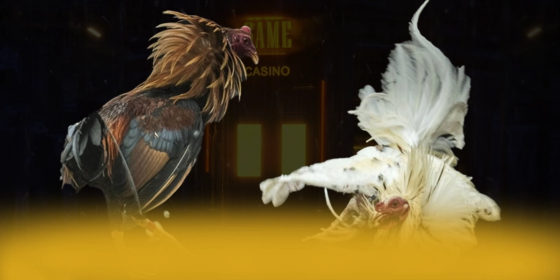 VWIN - Trang game được cộng đồng yêu thích nhất được đánh giá cao – Khám phá ngay các trò chơi tại VWIN