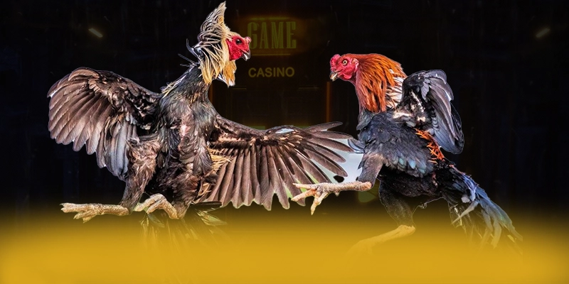 789P - Trang game đáng trải nghiệm được quan tâm hàng đầu 789P - Trang game đáng trải nghiệm được quan tâm hàng đầu