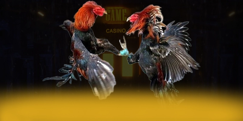 
Cập nhật thông tin về DAGA88 - Cổng giải trí được đánh giá cao được giới cược thủ tin tưởng
