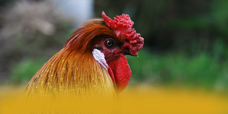 KKWIN - Cổng game bài đáng tin cậy được giới chuyên môn đánh giá cao – Cùng tìm hiểu KKWIN KKWIN - Cổng game bài đáng tin cậy được giới chuyên môn đánh giá cao – Cùng tìm hiểu KKWIN