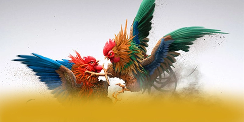 FC88 – Cổng trò chơi đáng chơi nhất, đang làm mưa làm gió trên thị trường.