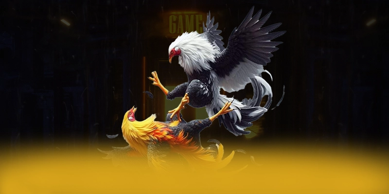 KKWIN - Cổng trò chơi có nhiều event hấp dẫn 2025 – Khám phá KKWIN KKWIN - Cổng trò chơi có nhiều event hấp dẫn 2025 – Khám phá KKWIN