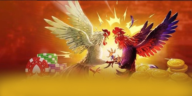 RR99 - Sảnh game được game thủ yêu thích 2025 – Trải nghiệm RR99 RR99 - Sảnh game được game thủ yêu thích 2025 – Trải nghiệm RR99