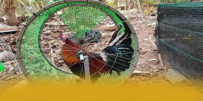 B52 - Thương hiệu đáng tin cậy được yêu thích hàng đầu – Khám phá hệ thống bảo mật tại B52