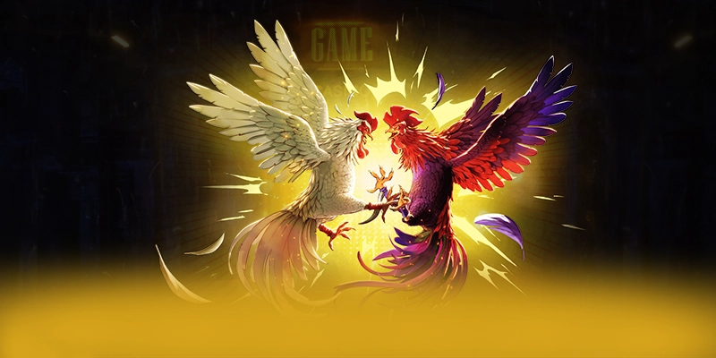 Đánh giá NK88 - Sảnh game đẳng cấp được giới cược thủ tin tưởng
Đánh giá NK88 - Sảnh game đẳng cấp được giới cược thủ tin tưởng